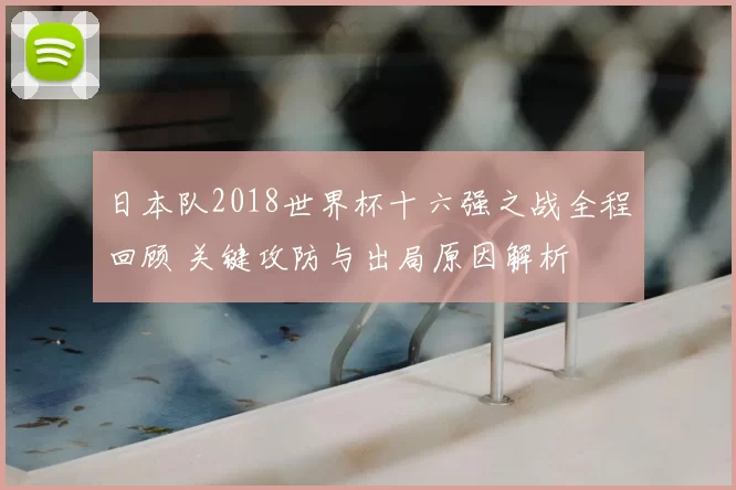 日本队2018世界杯十六强之战全程回顾 关键攻防与出局原因解析