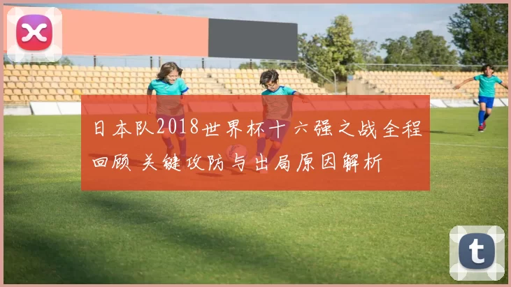 日本队2018世界杯十六强之战全程回顾 关键攻防与出局原因解析