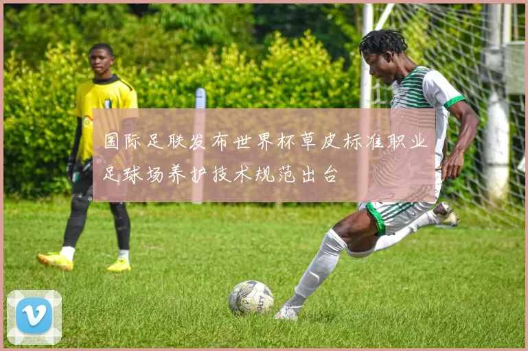 国际足联发布世界杯草皮标准职业足球场养护技术规范出台